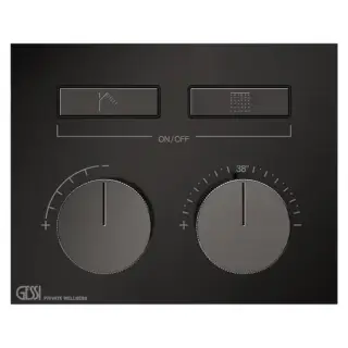 Gessi Hi-Fi Термостат для душа, с включением до 2 источников одновременно, внешняя часть, цвет: Black Metal PVD