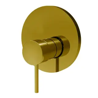 Fima Carlo Frattini Spillo Up Смеситель для душа, встраиваемый, цвет: золото