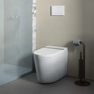 Artceram Hype Унитаз-биде 38х59см., напольный, безободковый, saniglaze, soft-close, с пультом управления, цвет: белый матовый