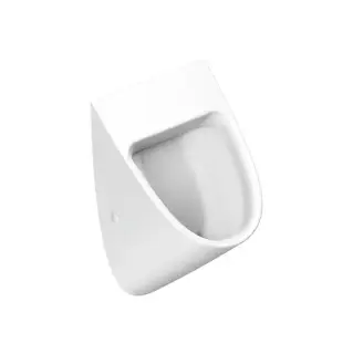 Catalano Писсуар 54x30см Rimless, без отв. под крышку, цвет: белый матовый