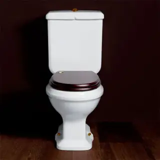 SIMAS Arcade Унитаз моноблок 36,5х68,5см,выпуск в пол, цвет: белый/бронза