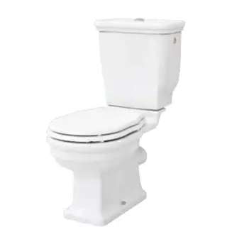 Artceram HERMITAGE унитаз моноблок 71х36см слив в стену с креплением, цвет: белый/бронза