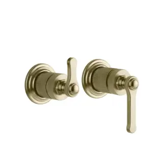 Gessi Venti20 Смеситель для душа, встраиваемый, с переключателем на 2 положения, внешняя часть, цвет: Brushed Brass PVD