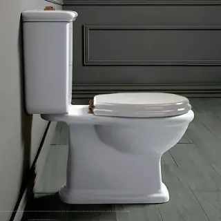 SIMAS Lante Унитаз моноблок 70.5х38.5см, с вертикальным сливом с бачком с кнопкой смыва, фурнитура бронза, цвет: белый