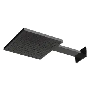 Almar Velvet Rain Верхний душ 30х30см., настенный, 2 режима, цвет: черный металл брашированный PVD