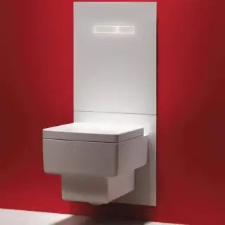 TECElux Комплект для установки унитаза-биде TOTO, GEBERIT, с верхней панелью 430×555×16 мм, с механическим блоком управления стекло, цвет: белый/