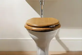 Сиденье для компакта, softclose 39*42 белое, фурнитура латунь