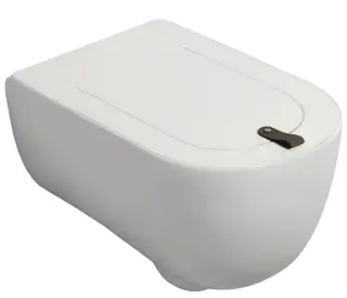 Унитаз Art Ceram THE ONE THV001.05;00 белый матовый