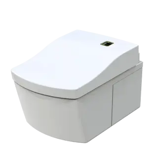 Унитаз Toto NEOREST AC CW996PVD#NW1 белый