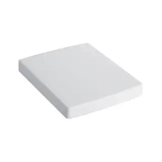 Сиденье с крышкой для унитаза, 48*38.5*4 белый, крепление - хром