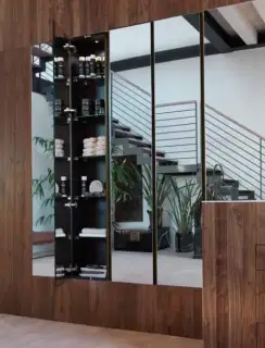 Пенал встраиваемый, с подсветкой паза и лампой, (dx), 36*17*h178, дверь зеркальная