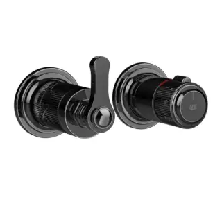 Внешняя часть встраиваемого термостата для душа на 2 отверстия GESSI VENTI20