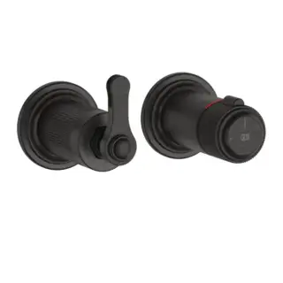 Внешняя часть встраиваемого термостата для душа на 2 отверстия GESSI VENTI20