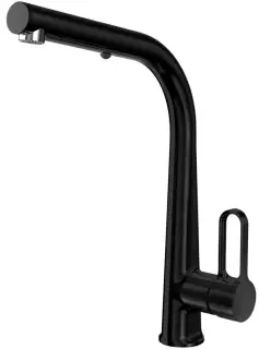 Смеситель для кухни Carlo Frattini Kitchen F7026NS BLACK MATT