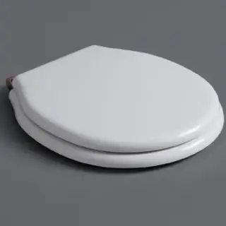 Simas Londra Крышка-сиденье для унитаза, без микролифта, крепление бронза, цвет: белый глянцевый LO003 bi/br
