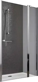 Radaway Eos II Дверь для душевого уголка KDJ 120x195h см R, цвет: хром 3799424-01R