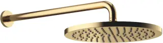 DornBracht Rounded generic Верхний душ, 30х60хh11,5 см, 30 см, 14 л/мин, цвет: латунь 28679970-28