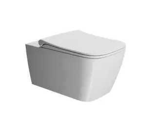 GSI Nubes Унитаз подвесной 55x35 см безободковый, смыв swirlflush, с крепежом, цвет: белый матовый 9615FR209