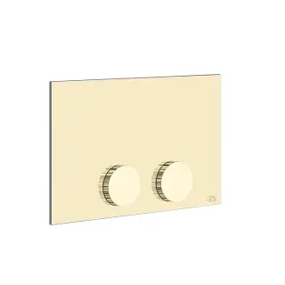 Gessi Ingranaggio Клавиша смыва двойная для инсталляции Tece, цвет: finox brushed nickel 54641#149