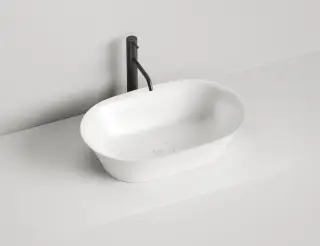 Salini Mona Раковина накладная овальная 60x39x16,5h см, глянцевый цвет: RAL 110811GF