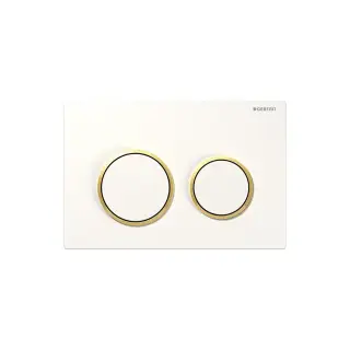Geberit Omega 20 Кнопка смыва для унитаза, пластик, цвет: белый, ободок позолота 115.085.KK.1