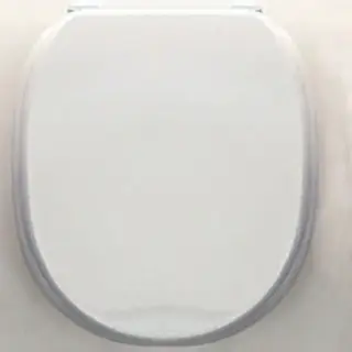 Devon&Devon Classica Сиденье для унитаза из MDF, цвет белый лакированный/петли хром, 3IBSEBIAWCLACR