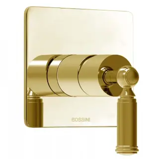 Bossini Liberty Смеситель для душа, встраиваемый, цвет: gold Z00067.021