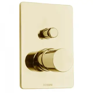 Bossini Oki Смеситель для душа, встраиваемый, 2 потребителя, цвет: gold Z00006.021