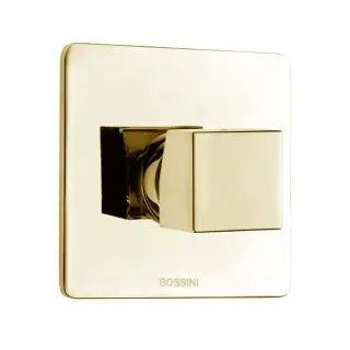 Bossini Cube Смеситель для душа на 1 потребитель, цвет: gold Z00064.021