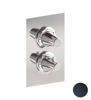 Cisal Vita Смеситель встраиваемый термостатический для душа, цвет: Night Black VI0BT03040