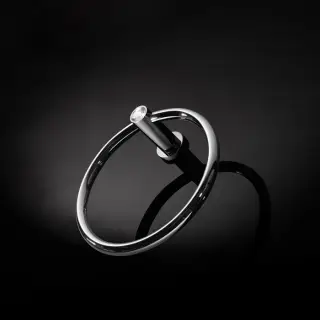 Maier Artik Полотенцедержатель-кольцо, цвет: хром 20 002CR