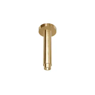 Treemme Shower Кронштейн для верхнего душа потолочный 18 см, цвет: brushed gold ITRTBR140DZ