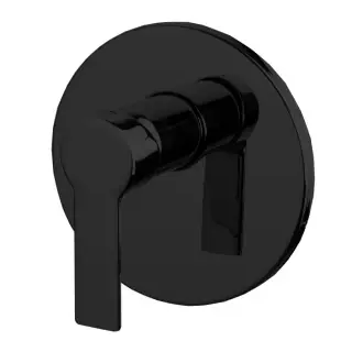 Fima Carlo Frattini Mast Смеситель для душа встраиваемый, 1 потребитель, цвет: black matt F3139X1NS