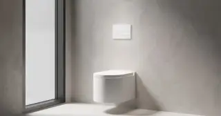 Salini Puro Кнопка смыва для унитаза из S-Stone, 2 режима, цвет: RAL полностью матовый 30P2MST2S2M****