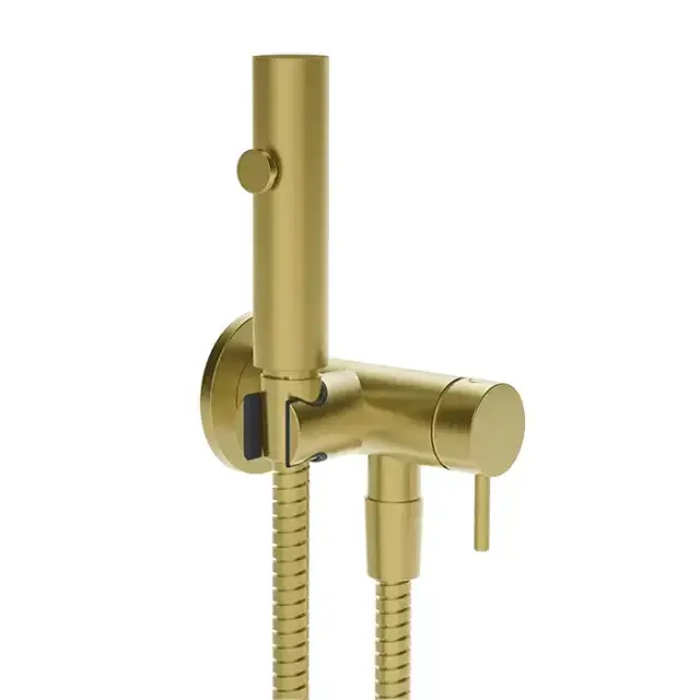 Gessi Transparenze Гигиенический душ, с настенным держателем, запорным краном, с подводом воды и шлангом 125cм., цвет: Gold Br. PVD