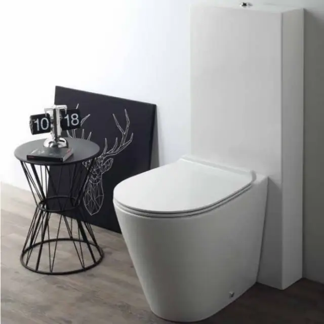 Simas Gambassi Унитаз приставной безободковый 56.5х37,5 см, цвет: белый  с бачком, цвет: белый/хром