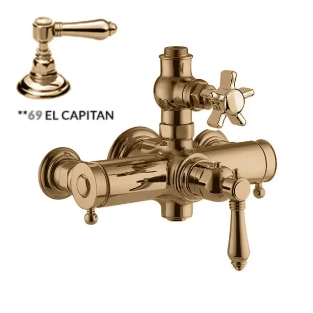 Nicolazzi Termostatico Смеситель для душа, настенный, термостатический, цвет: бронза