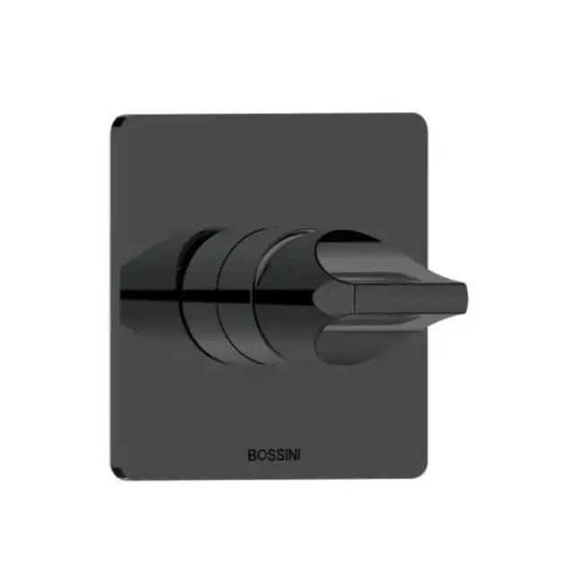 Bossini Apice Смеситель для душа, встраиваемый, цвет: черный матовый
