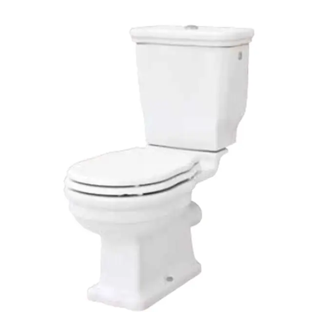 Artceram HERMITAGE унитаз моноблок 71х36см слив в стену с креплением, цвет: белый/бронза