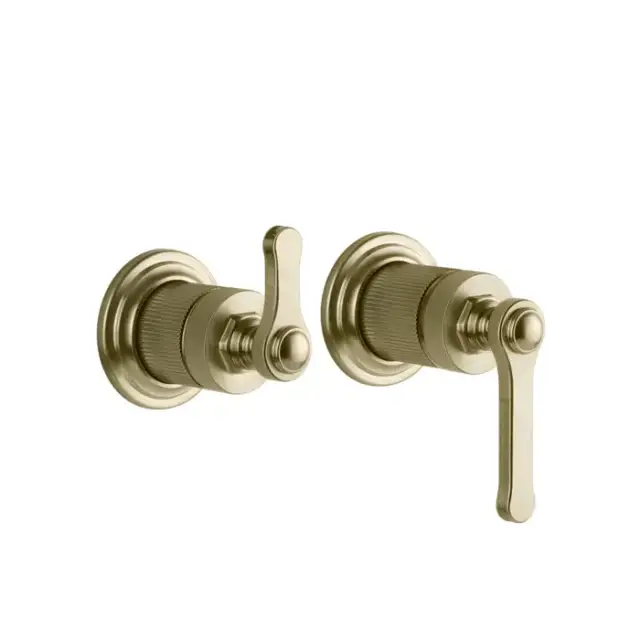 Gessi Venti20 Смеситель для душа, встраиваемый, с переключателем на 2 положения, внешняя часть, цвет: Brushed Brass PVD