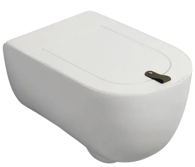 Унитаз Art Ceram THE ONE THV001.05;00 белый матовый