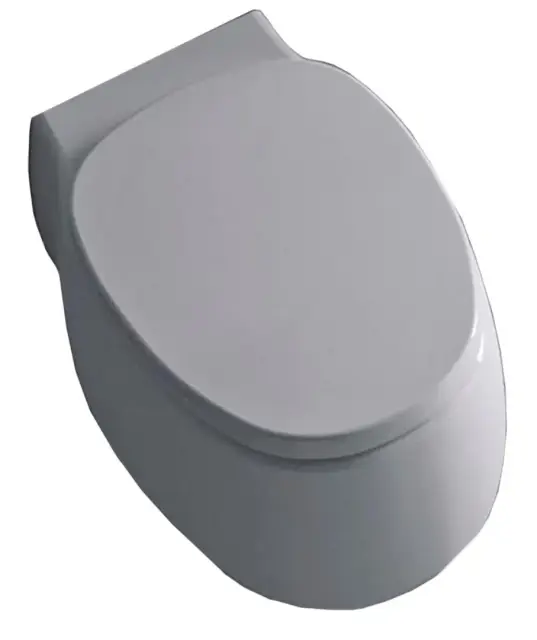 Унитаз Agape Pear 2 ACER0897WZ белый глянцевый