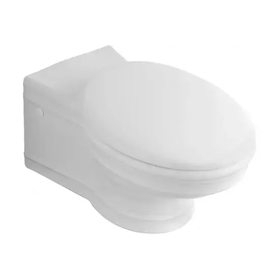 Сиденье-крышка для компакта, duroplast, star white / крепление - латунь