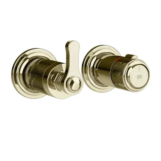 Внешняя часть встраиваемого термостата для душа на 2 отверстия GESSI VENTI20