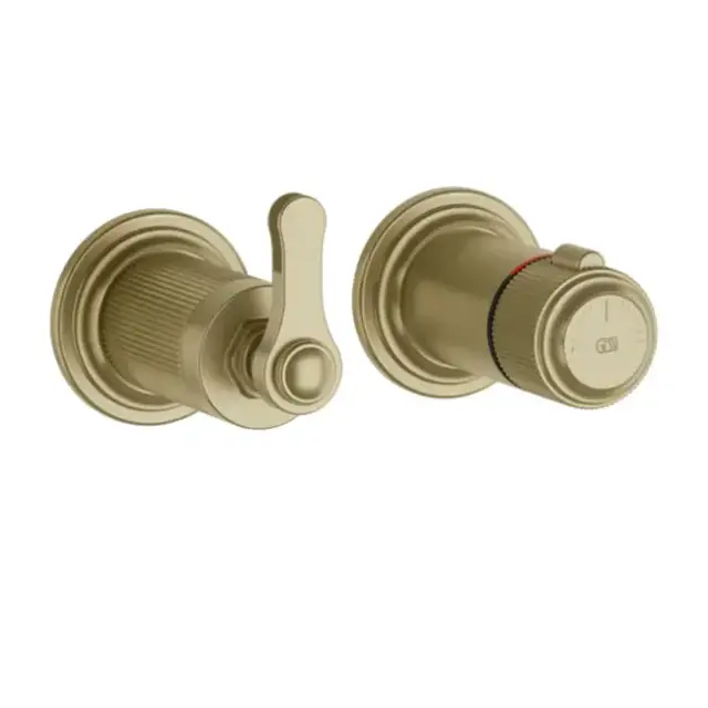 Внешняя часть встраиваемого термостата для душа на 2 отверстия GESSI VENTI20