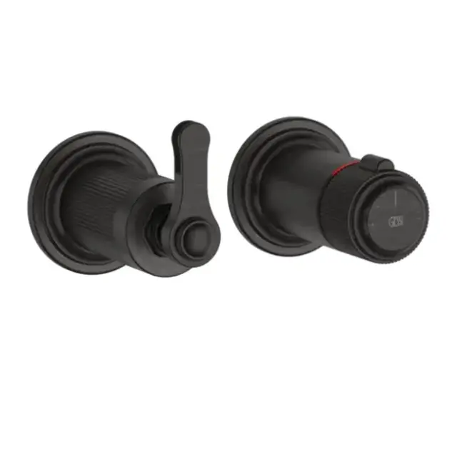 Внешняя часть встраиваемого термостата для душа на 2 отверстия GESSI VENTI20