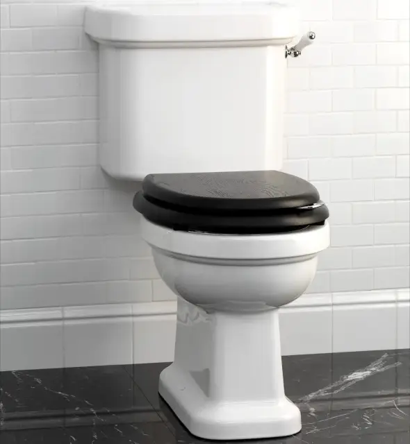 Унитаз Devon&Devon BLUES IBWCBLUES + IBCMBLUES + 2IBSEROSEMOGCR + IBBATTBLU + IB1042C цв.белый