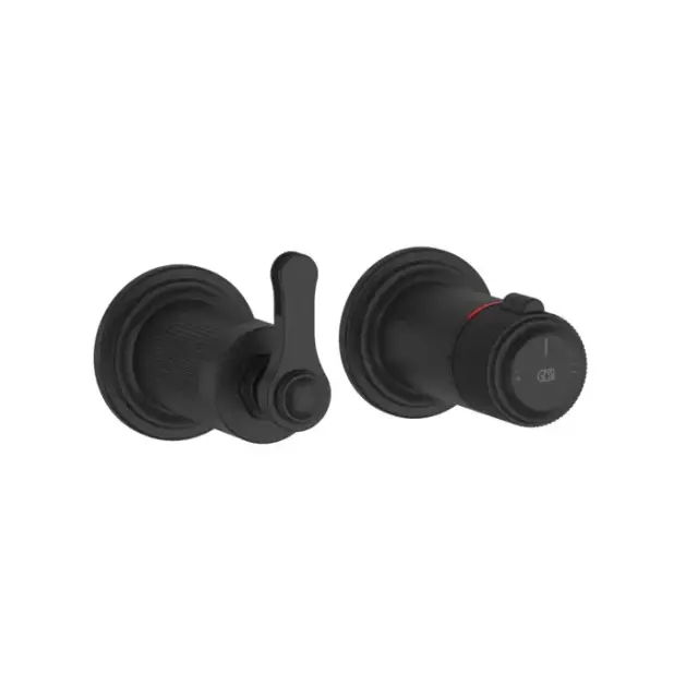 Смеситель для душа Gessi VENTI20 65235#299 цвет-черный матовый