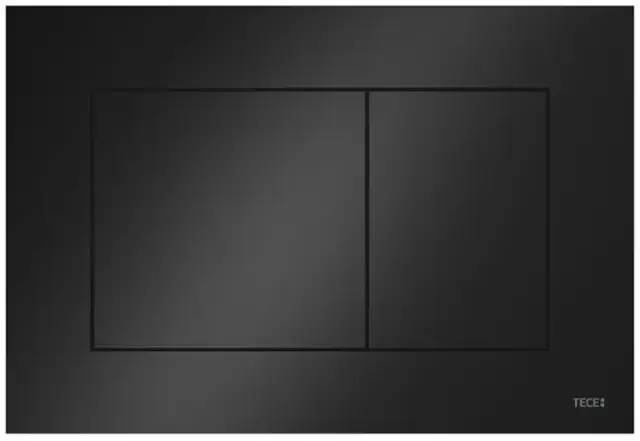 Панель смыва с двумя клавишами 22*15h черный матовый