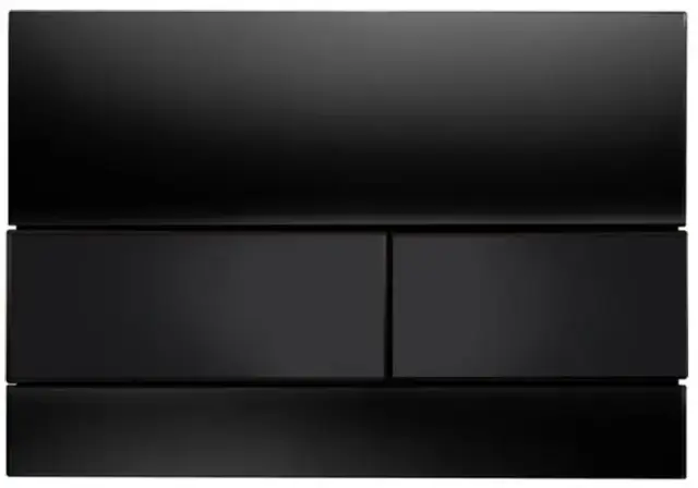 Панель смыва с двумя клавишами стекло черное